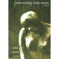 What Waiting Really Means - Paperback