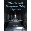 How to Walk Through and out of Depression: A Bible-Based Approach - Paperback