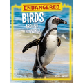 Endangered Birds Around the World - Paperback