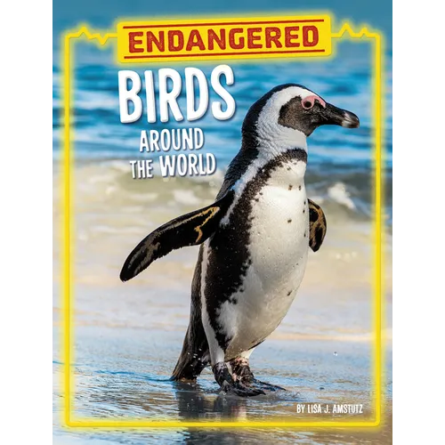 Endangered Birds Around the World - Paperback