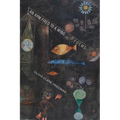 An Arm Fixed to a Wing: Poems - Paperback