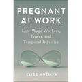 Pregnant at Work: Low-Wage Workers, Power, and Temporal Injustice - Hardcover