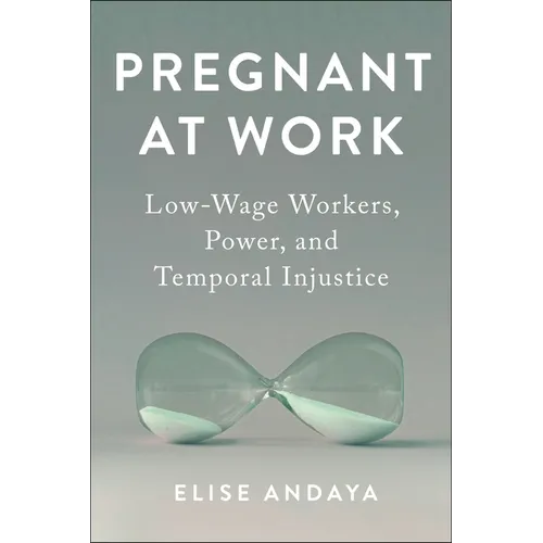 Pregnant at Work: Low-Wage Workers, Power, and Temporal Injustice - Hardcover