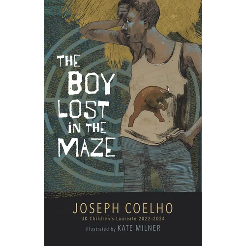 The Boy Lost in the Maze - Hardcover