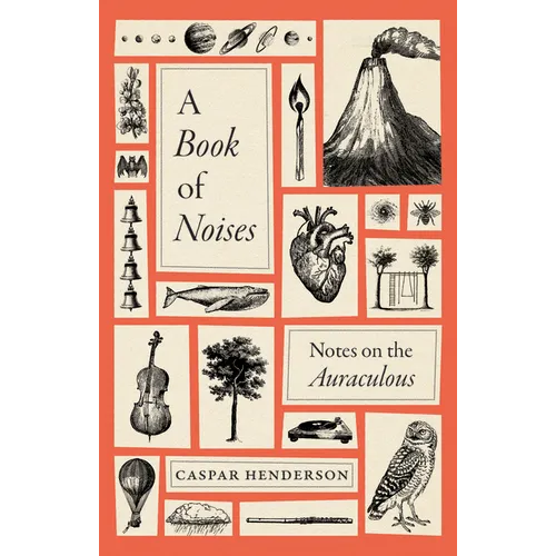 A Book of Noises: Notes on the Auraculous - Hardcover