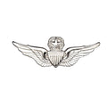 US Army Aviator Master Dress Mini STA-BRITE® Pin On Badge