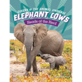 Elephant Cows: Heads of the Herd - Paperback