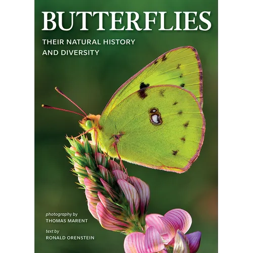 Butterflies: Their Natural History and Diversity - Paperback