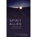 Spirit Allies: Meet Your Team from the Other Side - Paperback