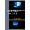 Between Images: Montage and the Problem of Relation - Hardcover
