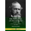 The Principles of Psychology (Volume 1 of 2): Complete with Illustrations and Tables - Paperback