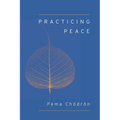 Practicing Peace - Paperback