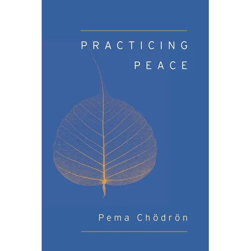 Practicing Peace - Paperback
