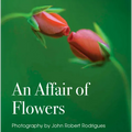 An Affair of Flowers - Hardcover