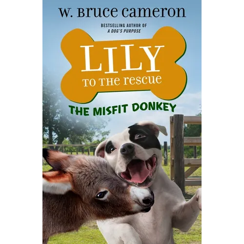 Lily to the Rescue: The Misfit Donkey - Paperback