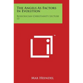 The Angels as Factors in Evolution: Rosicrucian Christianity Lecture 13 - Paperback