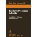 Excitonic Processes in Solids - Paperback