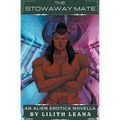The Stowaway Mate - Paperback