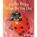 Hello Bugs, What Do You Do? - Board Book