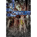 Life in No Ordinary Time - Paperback