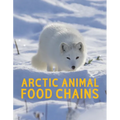 Arctic Animal Food Chains: English Edition - Paperback