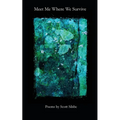 Meet Me Where We Survive - Paperback