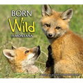 Born Wild in Montana - Paperback