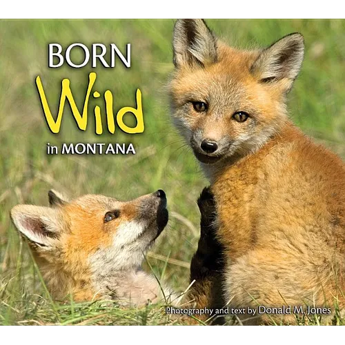Born Wild in Montana - Paperback
