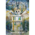 Waiting for Gabe - Paperback