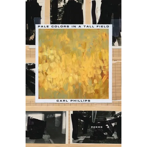 Pale Colors in a Tall Field: Poems - Paperback