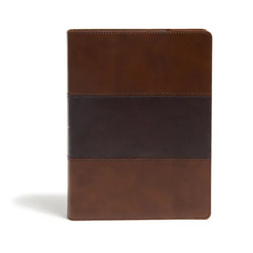 KJV Study Bible, Full-Color, Saddle Brown Leathertouch, Indexed - Imitation Leather