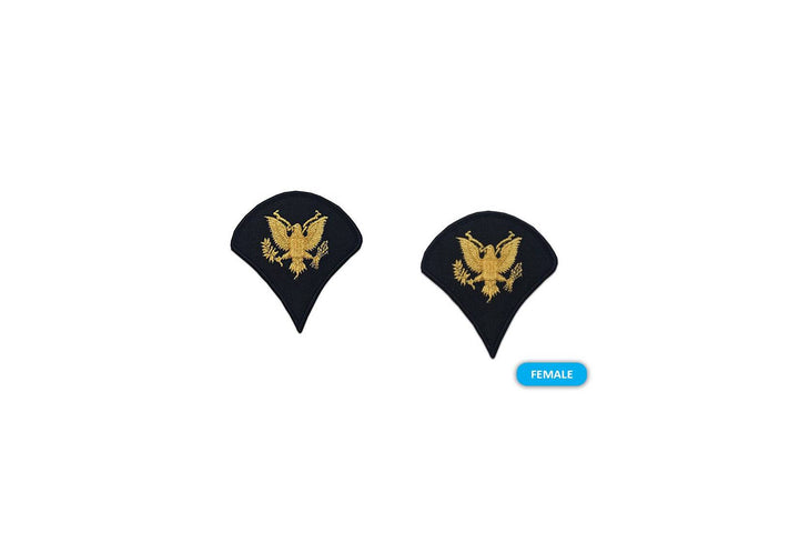 Army Dress Blue Chevrons (gold on blue)
