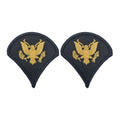 U.S. Army E4 Specialist Gold on Blue Sew-on - Large/Male