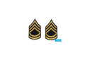 U.S. Army E7 Sergeant First Class Gold on Blue Sew-on - Small/Female