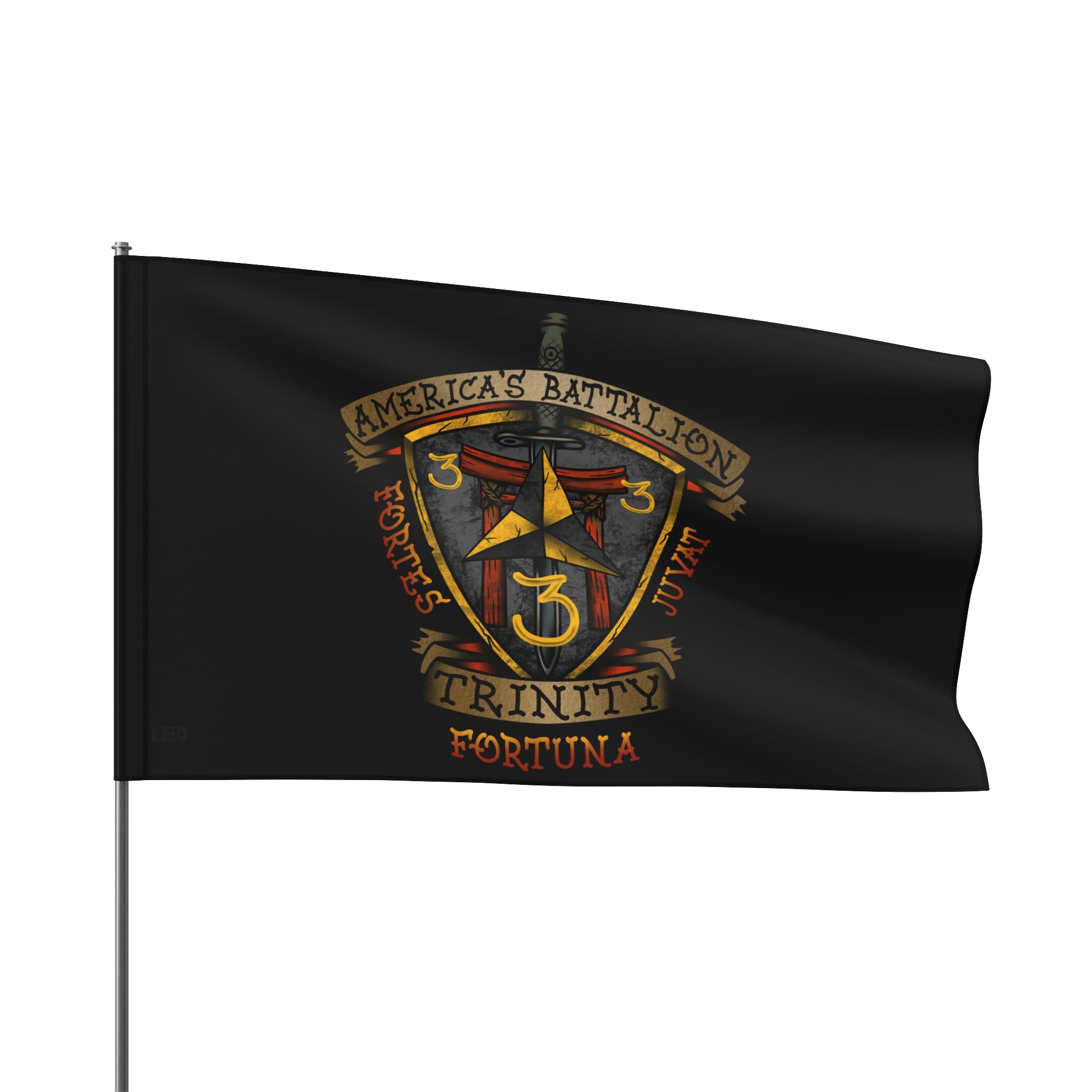 3/3 Americas Battalion Flag