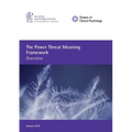 The Power Threat Meaning Framework: Overview - Paperback