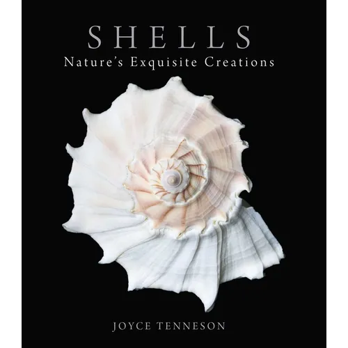 Shells: Nature's Exquisite Creations - Hardcover