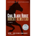 Coal Black Horse