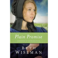 El Plain Promise - Paperback