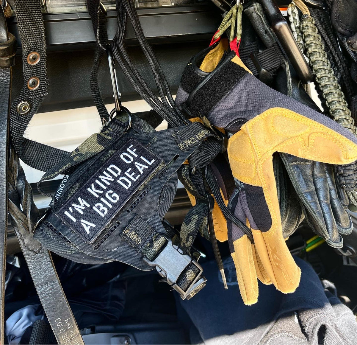 I'M KIND OF A BIG DEAL Morale Patch