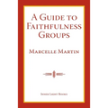 A Guide To Faithfulness Groups - Paperback