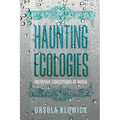 Haunting Ecologies: Victorian Conceptions of Water - Paperback