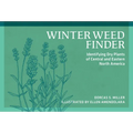 Winter Weed Finder: Identifying Dry Plants of Central and Eastern North America