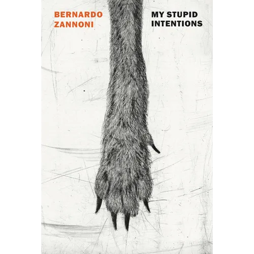 My Stupid Intentions - Paperback
