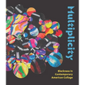 Multiplicity: Blackness in Contemporary American Collage - Hardcover