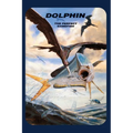 Dolphin: The Perfect Gamefish - Hardcover