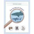 The Scoop on Sharks - Paperback