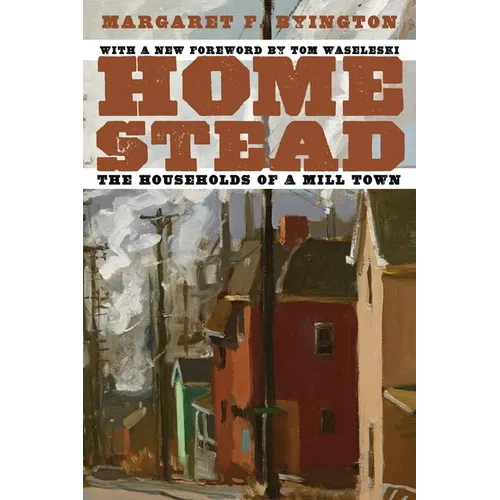 Homestead: The Households of a Mill Town - Paperback