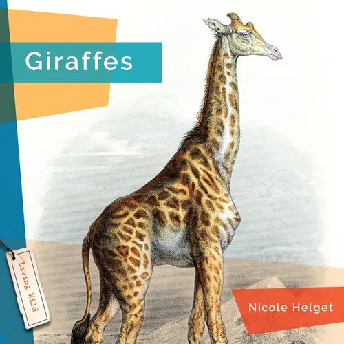 Giraffes - Paperback