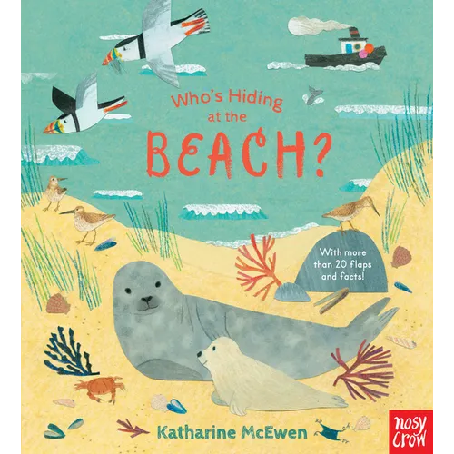 Who's Hiding at the Beach? - Board Book